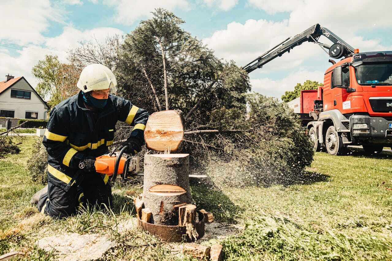 Emergency Storm Tree Removal in Pacific, MO